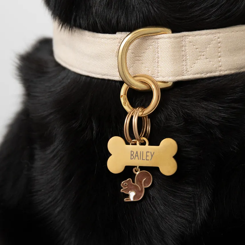 Bone Dog Tag in Stainless Steel