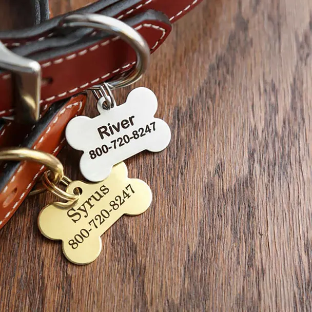 Bone Dog Tag in Stainless Steel